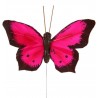 Papillons Bicolore Fushia en Plumes sur Tige les 6