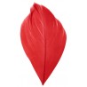 Plumes rouges 6 cm les 100