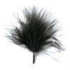 Plumes noires 7 cm les 20