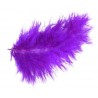 Plumes de Couleur Prune Les 20